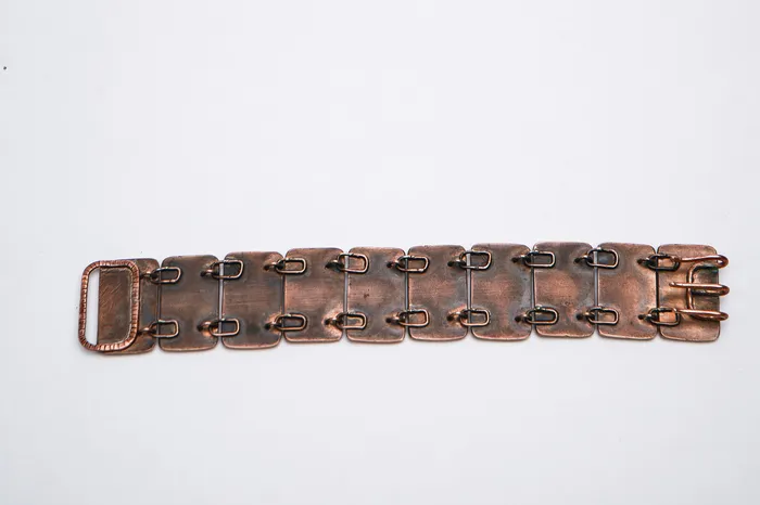 Seanna Poirier Bracelets Bronze Etched beetles link bracelet