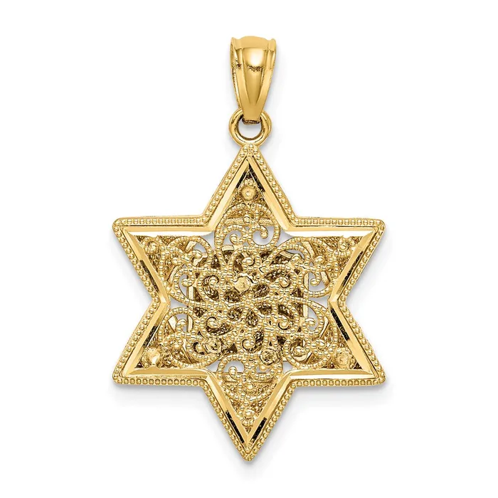 14k Twotone Gold Star of David Pendant Goldia Necklaces