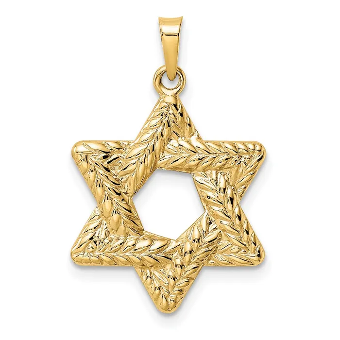 14k Yellow Gold Polished and Textured Solid Star of David Pendant Goldia Necklaces 14k Yellow Gold Polished and Textured Solid Star of David Pendant Goldia Necklaces