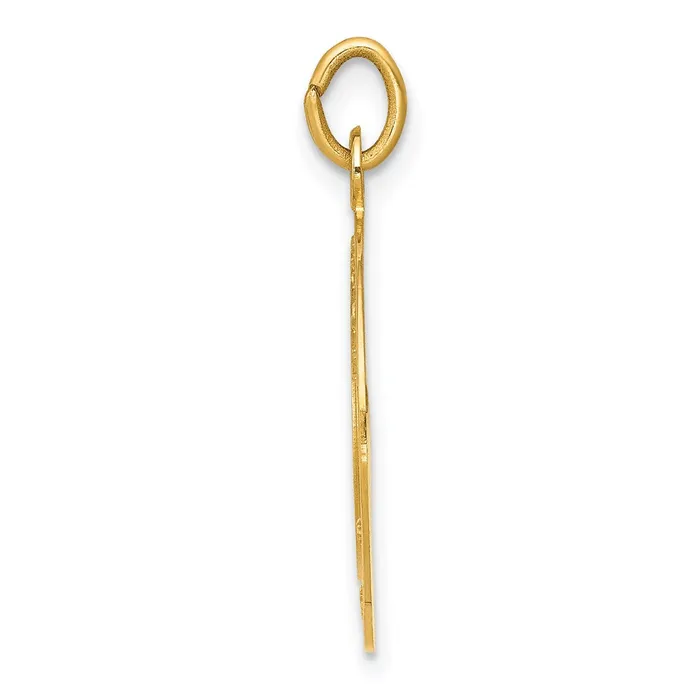14k Yellow Gold US ARMY Insignia Disc Pendant Goldia PreStyled Sets