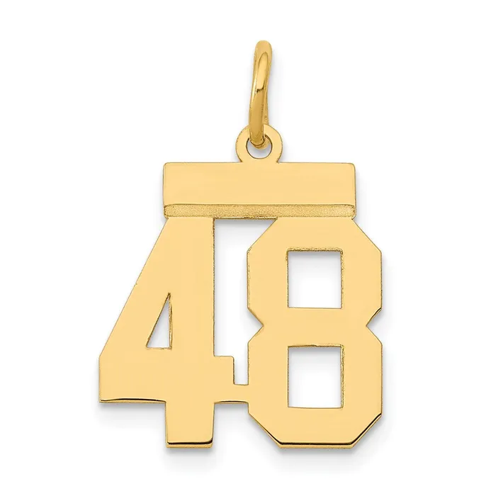 Goldia Charm Necklaces 14k Yellow Gold Small Polished Number 48 Charm