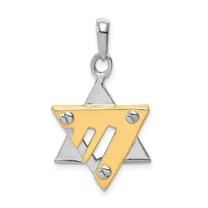 Goldia Necklaces 14k Twotone Gold Star of David Pendant